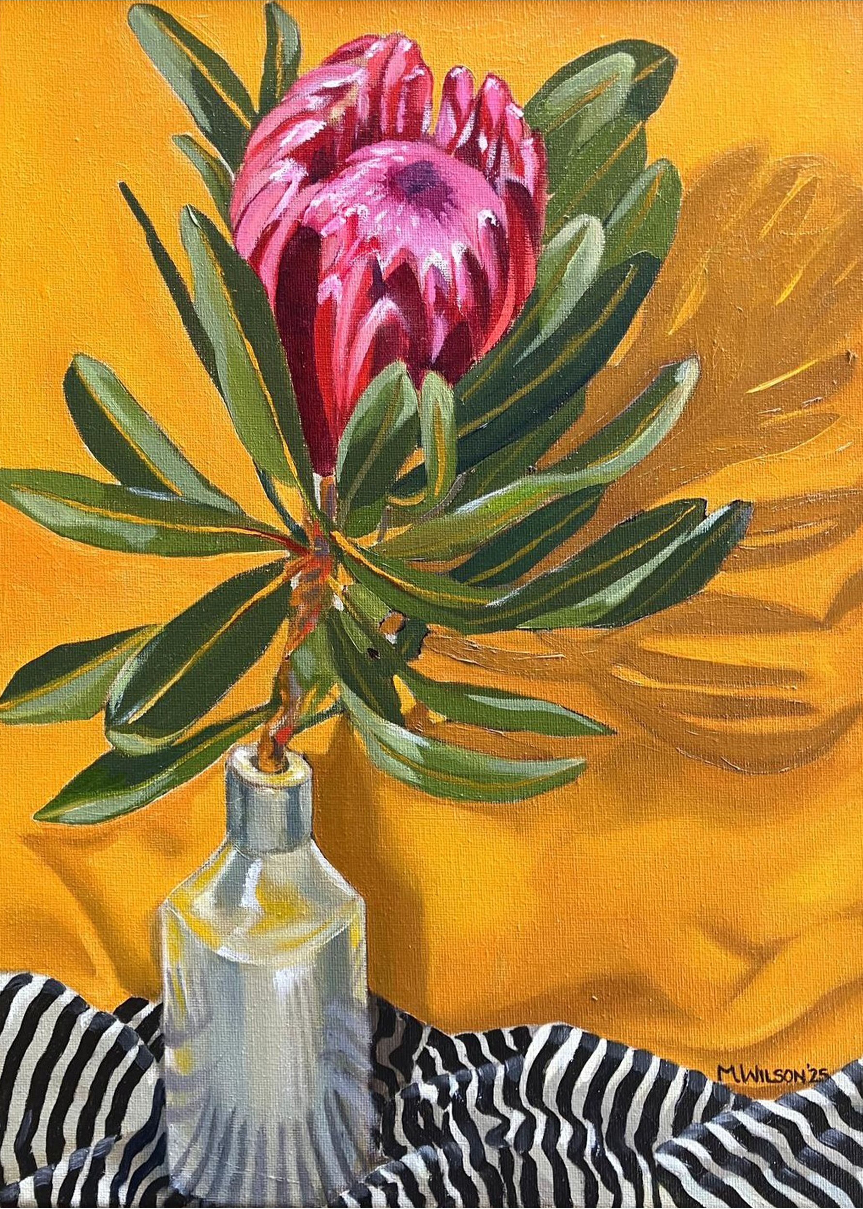 Protea from Ewan, Oil on Canvas